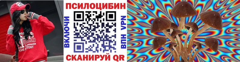 Псилоцибиновые грибы ЛСД  Новокубанск 