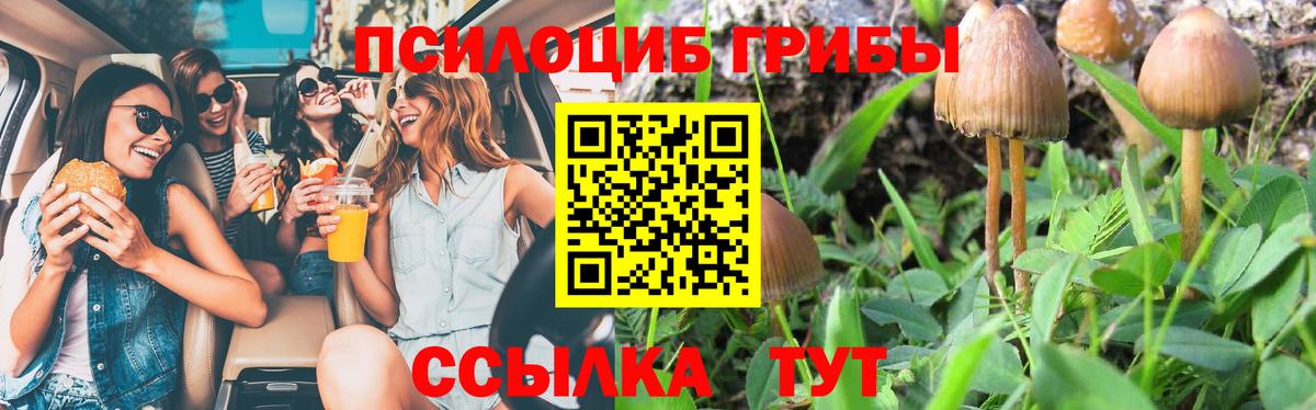 Псилоцибиновые грибы мухоморы  Вход с VPN  Новокубанск  Галлюциногенные грибы ЛСД 