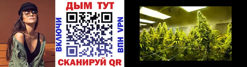Марихуана LSD WEED  наркота  Новокубанск 